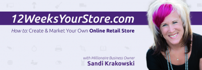 Sandi Krakowski - 12 Weeks Your Store Video Class