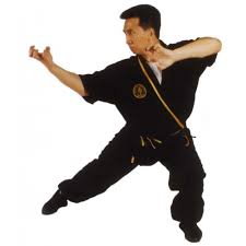 Tak Wah Eng - Tiger Claw Kung Fu Series (Vol.1,2,5,6)